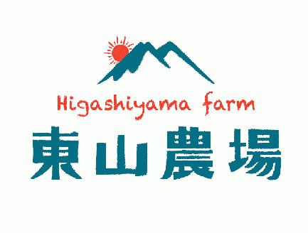 【先行予約】とろける舌触り！北海道栗山町東山農場産キングメロン 2玉