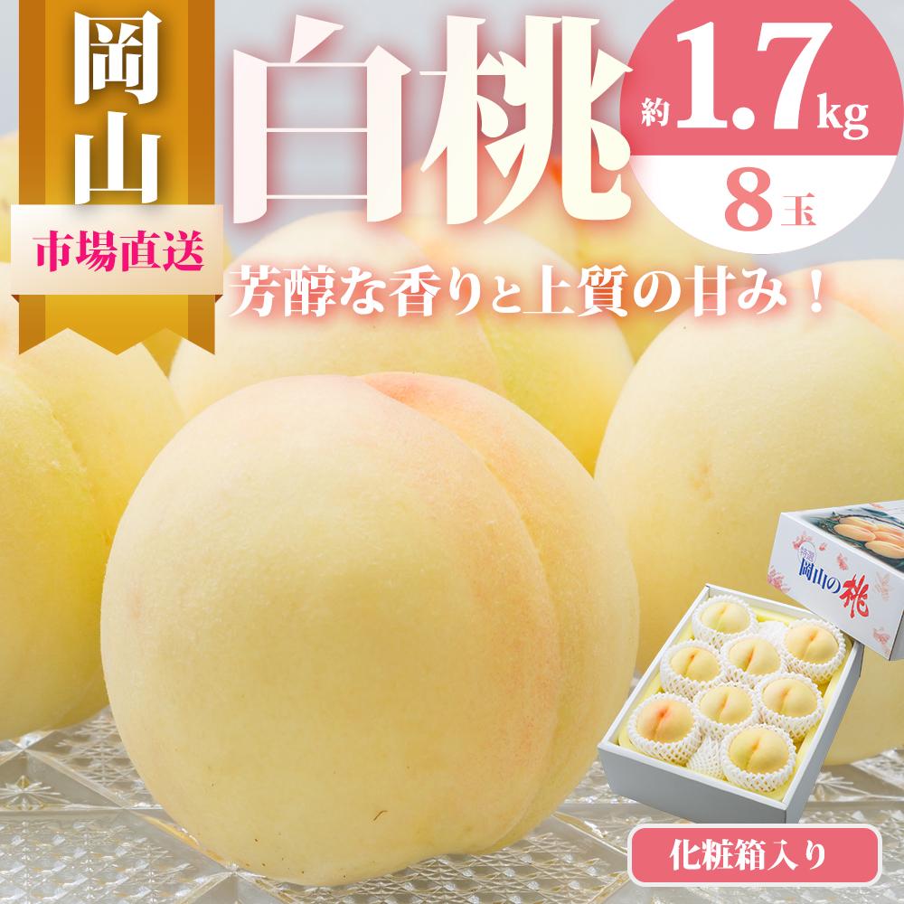 【ふるさと納税】桃 2025年 先行予約 岡山 白桃 8玉（合計1.7kg以上）化粧箱入り もも モモ 岡山県産 国産 フルーツ 果物 ギフト | もも フルーツ 果物 くだもの 食品 人気 おすすめ 送料無料