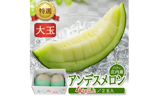 特選 庄内産 アンデスメロン　約4kg(青肉 大玉/2玉入つる付) SA2892