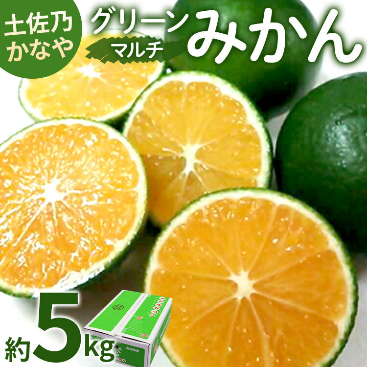 【ふるさと納税】【数量限定】土佐乃かなや マルチ グリーンみかん 約5kg - ミカン 蜜柑 柑橘 果実 果物 フルーツ 送料無料 のし 熨斗 酸味 甘い ジューシー みずみずしい 果汁 爽やか さわやか かなや農園 合同会社Benifare 高知県 香南市【常温】