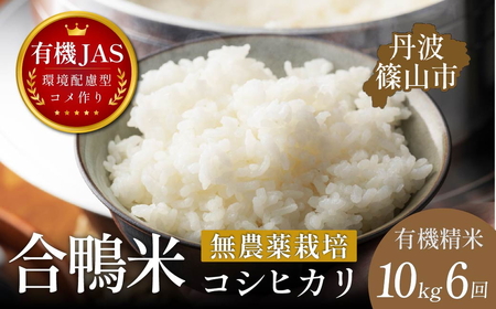 令和8年産【6回定期便】コシヒカリ 10kg 精米 無農薬 コシヒカリ