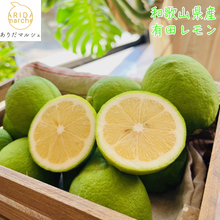 【先行予約】【国産】農家直送！ 有田レモン 2kg ※沖縄・離島への配送不可 ※2025年9月下旬～2026年2月下旬頃に順次発送予定