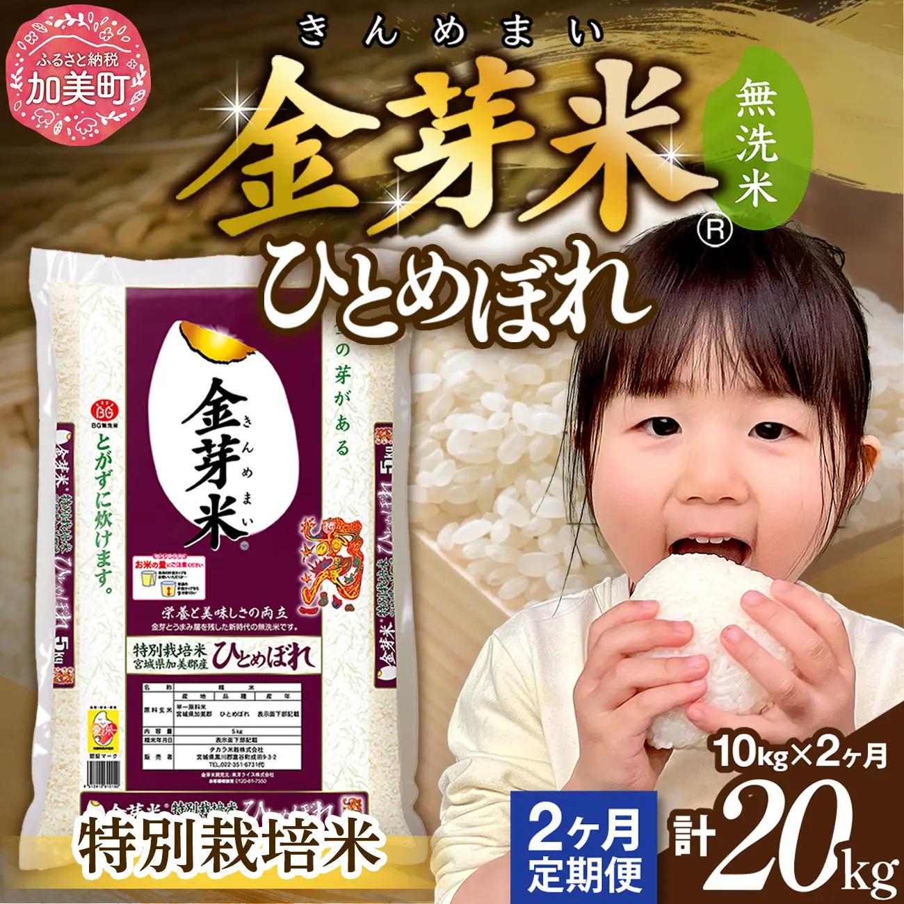 【新米予約】【定期便2回】令和8年産 加美産 金芽米 ひとめぼれ 特別栽培米 無洗米 10kg(5kg×2袋)×2回