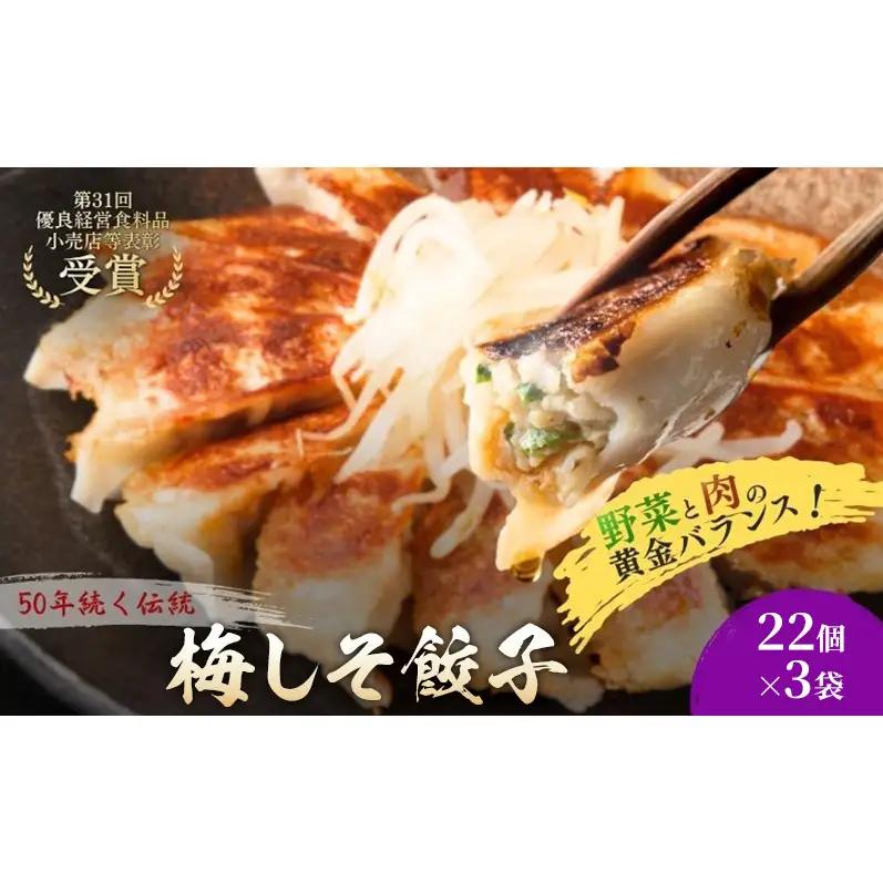 梅しそ餃子66個(22個×3袋) 餃子 冷凍餃子 冷凍ギョーザ 手作り餃子 ギョーザ 点心 中華 中華料理 惣菜 簡単調理 加工食品 静岡県 森町