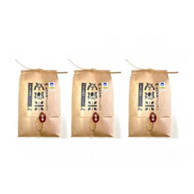 ふるさと納税 五泉市 【毎月定期便】特別栽培米コシヒカリ「南郷米」玄米6kg(2kg×3袋)全3回 |  | 01