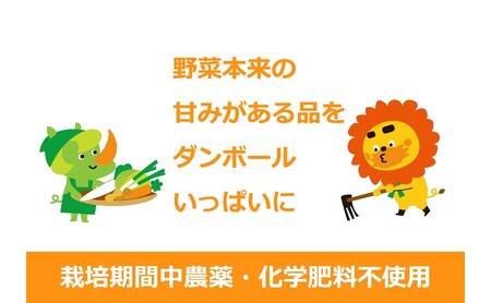 野菜 定期便 3ヶ月 2～4名様向け 野菜6種 セット＋加工品 旬の野菜 生野菜 やさい 新鮮 鮮度 産地直送 詰め合わせ 冷蔵 千葉 定期 お楽しみ 3回 