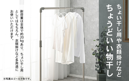 【先行予約】daim 組立式シングル物干し （シルバー）(耐荷重：20kg) 【2026年2月上旬以降順次発送予定】物干し 洗濯 [D-18411_01]