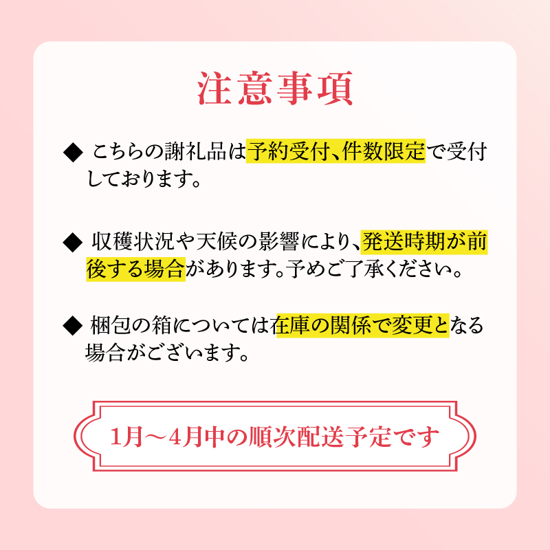 ★予約受付★杉山いちご農園 玄海町産いちご “淡雪（あわゆき）” 3ヶ月定期便 3ヶ月定期便（1箱2パック）