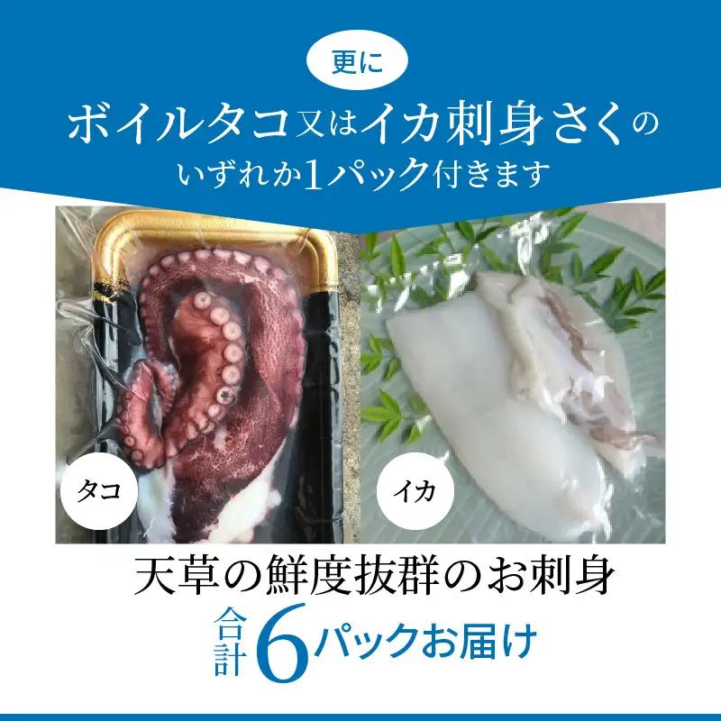 S059-009A_わくわく刺身セットプラス  / 刺身 刺し身 鮮魚 お刺身