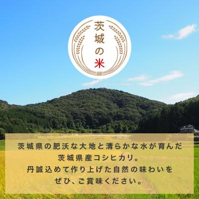 ふるさと納税 笠間市 【毎月定期便】茨城県笠間市 コシヒカリ 精米 10kg(5kg×2袋)全3回 |  | 03