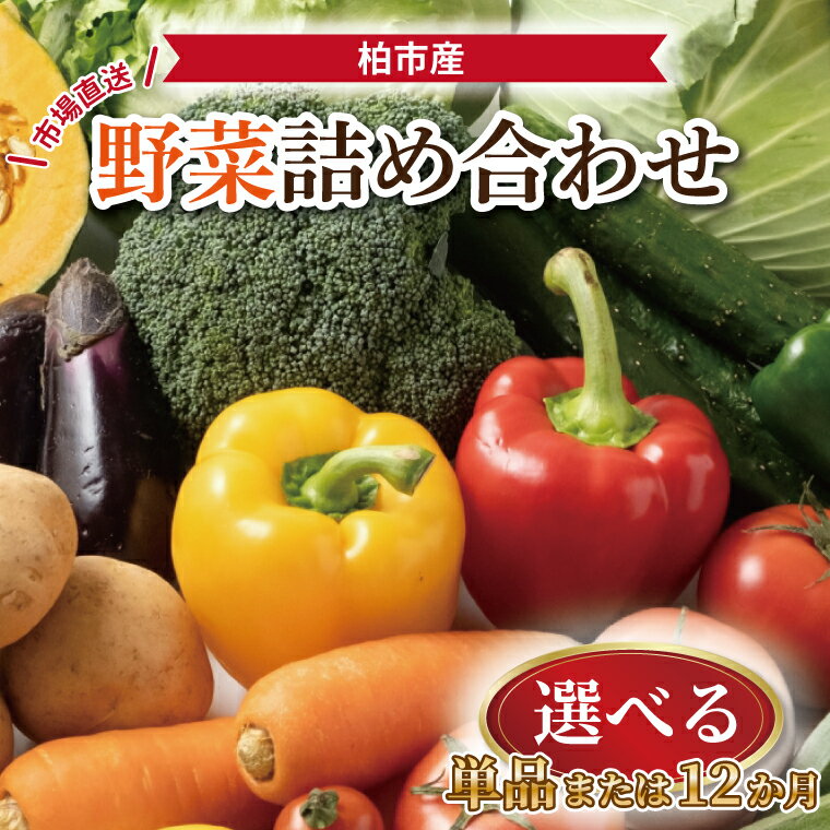 【ふるさと納税】 定期便 新鮮 野菜 詰め合わせ セット 12か月 単品 選べる 旬 野菜セット 野菜詰め合わせ 国産 千葉県産 柏市産 おいしい おまかせ 一人暮らし 父の日 母の日 プレゼント 贈り物 お取り寄せ 取り寄せ おすすめ おススメ 大量 産地直送