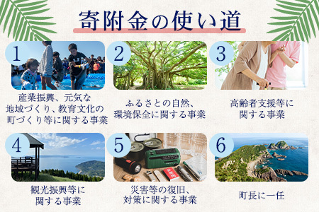 【返礼品なし】南大隅町への寄附　1口15,000円