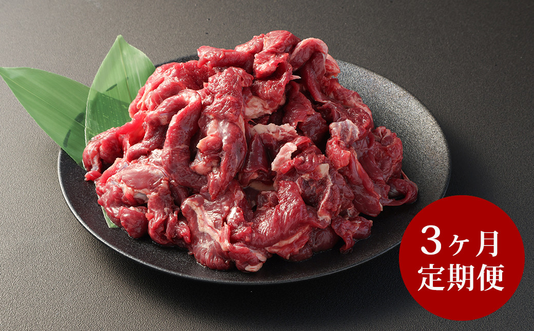 
【3ヶ月 定期便】馬スジ 1kg（500g × 2パック） 合計 3kg 熊本県産 馬肉 馬 スジ スジ肉 国産 熊本 肉 すじ すじ肉 馬すじ
