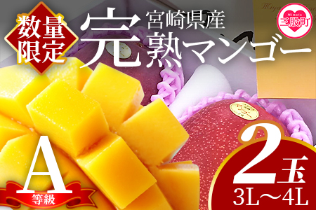 ＜【先行予約】【期間数量限定】2026年5月より順次発送 宮崎県産完熟マンゴー3L～4L 2玉化粧箱入＞(2玉入り)【B-0602-yk-x1】【みまたんよかもん協同組合】 3L～4L 2玉化粧箱入