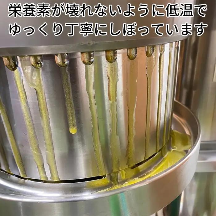 無農薬栽培 エゴマオイル (EGOMA OIL) 100g×2本【AMC】 国産 エキストラ バージン エクストラ えごま 油 オメガ3 九州 大分県 ＜143-006＞