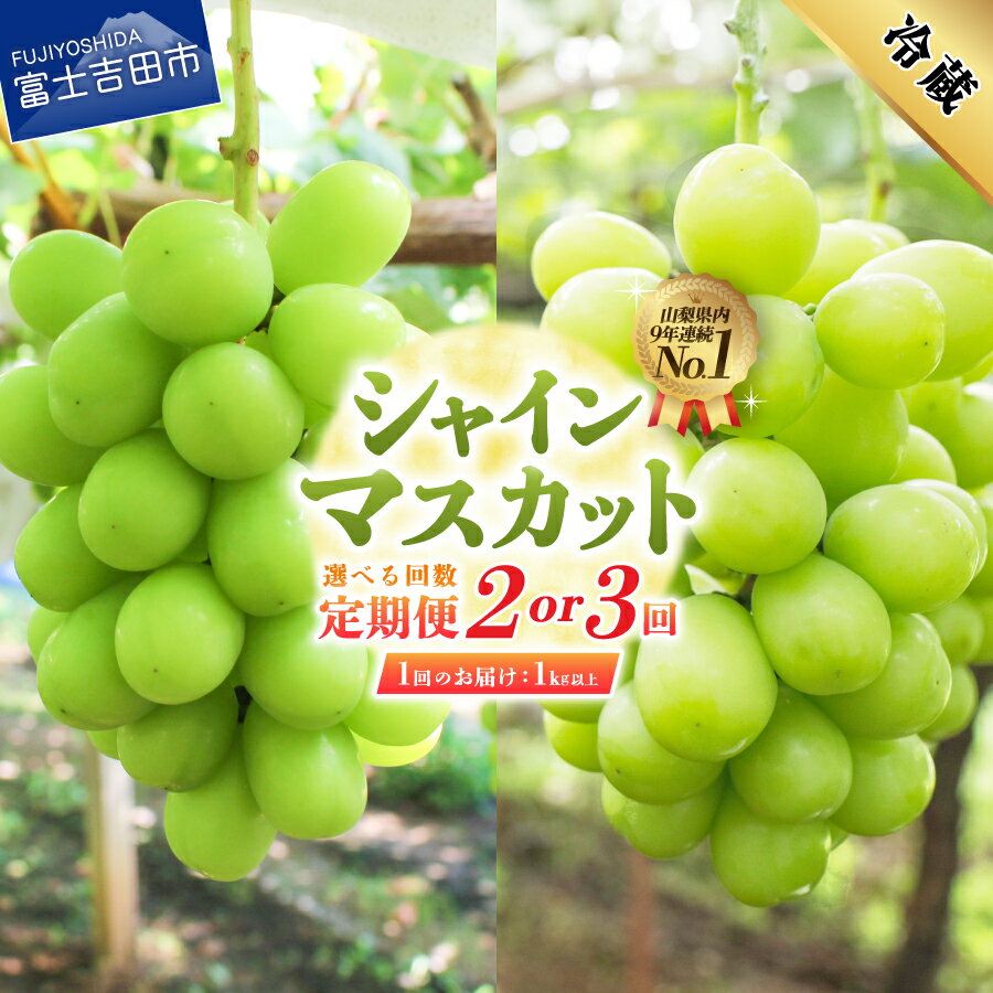 【ふるさと納税】2026年発送 シャインマスカット 定期便 選べる お届け回数 2回 3回 1kg以上 フルーツ ぶどう 山梨県産 シャイン マスカット 新鮮 厳選 濃厚 甘さ 香り 果物 くだもの 送料無料 高レビュー マツコの知らない世界 テレビで紹介 ふるさと納税 ランキング