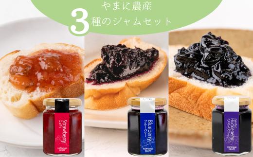 山里の恵みジャム３本（イチゴ・ブルーベリー・ガーデンハックルベリー）