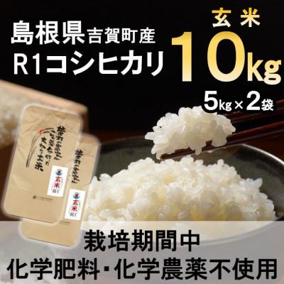 ふるさと納税 吉賀町 【栽培期間中化学肥料・化学農薬不使用】令和7年産R1米コシヒカリ10kg(玄米)