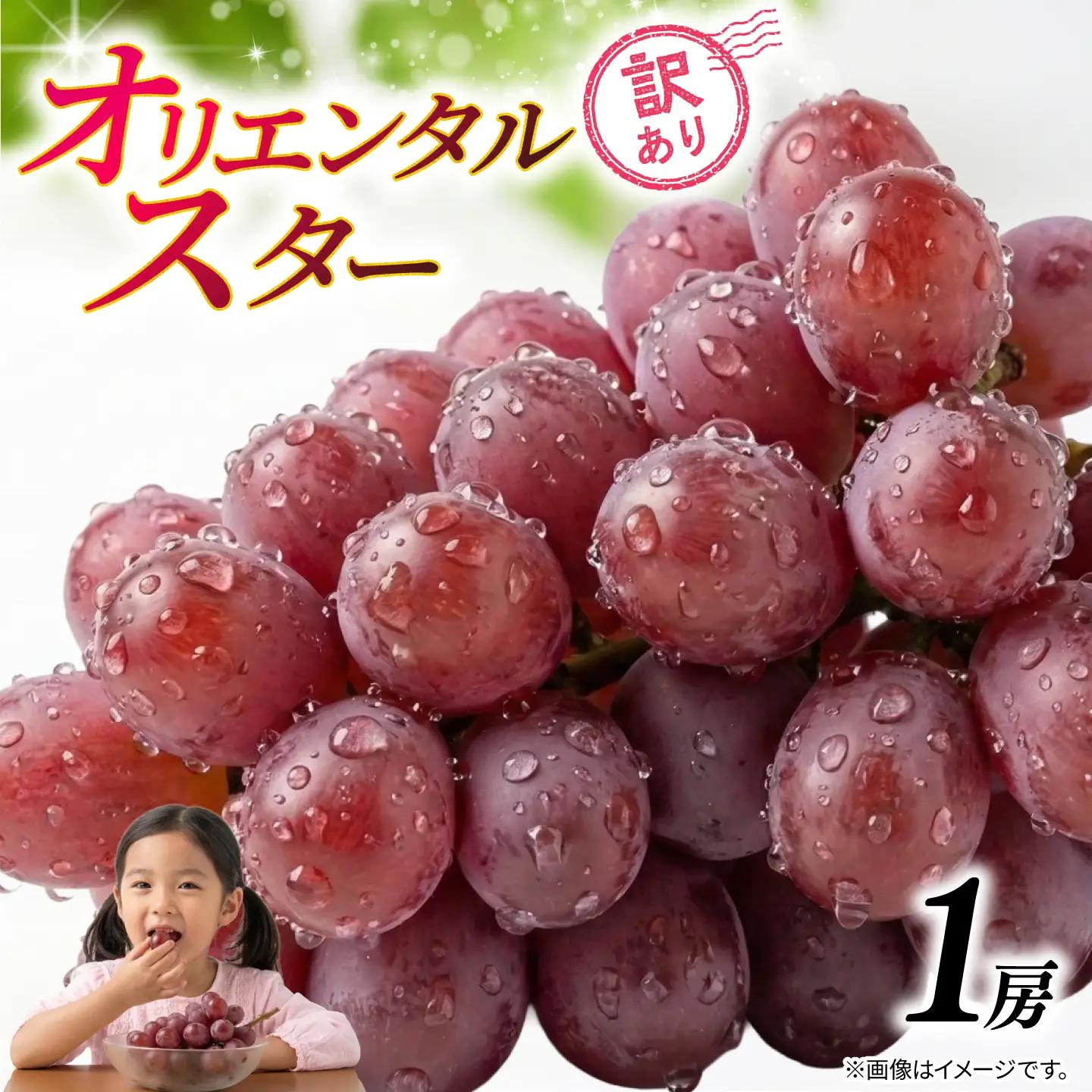 訳あり ぶどう オリエンタルスター 1房 450g 以上 数量限定 種なし ぶどう