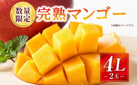 《2026年発送先行予約》【数量・期間限定】完熟マンゴー 4Lサイズ 2玉 完熟 マンゴー 太陽のタマゴ 果物 フルーツ くだもの 果肉 果汁 甘い 芳醇 南国フルーツ 南国 特産品 名物 高糖度 期間限定 数量限定 ギフト 贈り物 プレゼント