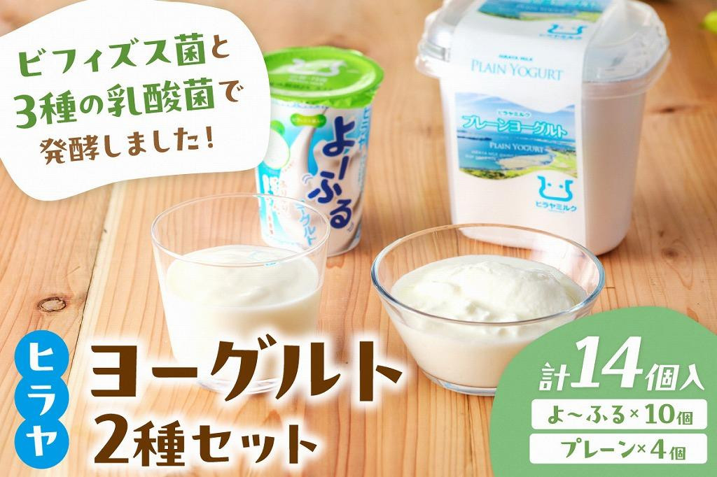 
プレーンヨーグルトとよ～ふるのセット　乳酸菌飲料 乳酸菌 免疫力 免疫力アップ ビフィズス菌 乳酸菌 家族の健康 健康 ドリンク お中元 お歳暮 お返し ふるさと納税 のむヨーグルト ふるさと納税 飲むヨーグルト ふるさと納税 乳製品 送料無料　AM00429
