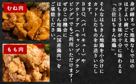 土佐はちきん地鶏 もも肉・むね肉 合計1kgセット 室戸海洋深層水塩付 【 もも肉もも肉もも肉もも肉もも肉もも肉 】 ad-0005