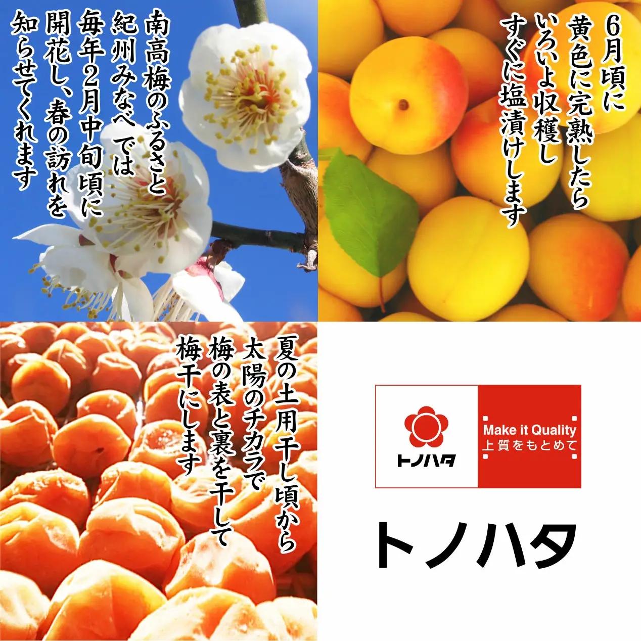 紀州小梅のオリーブオイル漬 210g 2個入り tnht004A【tnht004A】