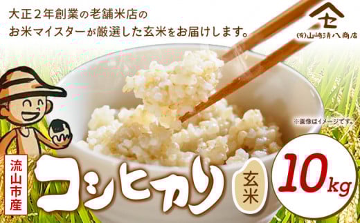 米 コシヒカリ 新川耕地・減農薬コシヒカリ 玄米 10kg《30日以内に発送予定(土日祝除く)》有限会社山崎清八商店 千葉県 流山市 新川耕地 送料無料 st-p