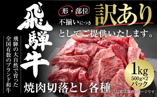 訳あり 飛騨牛 焼肉 切り落とし 1kg 冷凍真空パック | 肉 お肉 切落し 不揃い 焼肉 焼き肉 やきにく 黒毛和牛 和牛 人気 おすすめ 牛肉 ギフト お取り寄せ 飛騨高山ミート [MZ036]