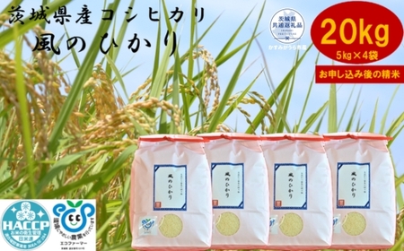【令和7年度産】＼農家直送！出荷日精米／茨城県産 コシヒカリ 風のひかり 20kg 5kg×4袋 茨城県共通返礼品 かすみがうら市産 米 お米 白米 こめ 精米 取り寄せ 特産 ごはん ご飯 コメ お取り寄せ ギフト 贈り物 お弁当 弁当 おにぎり ふっくら ツヤツヤ 甘い 農家直送 産地直送 国産 茨城県産