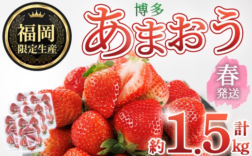 ＜先行予約受付中！2027年2月上旬以降に順次発送予定＞ 博多あまおう・春 (計約1.5kg) いちご 苺 フルーツ 果物 くだもの 福岡限定 家庭用 冷蔵＜離島配送不可＞【ksg1741】【農産物直売所ほたるの里】