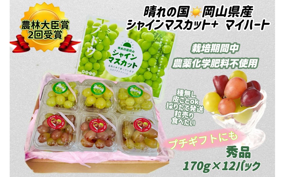 
                  ぶどう 2026年  シャインマスカット＆マイハート 小分け 秀品 粒だけ 約170g 12パック 岡山 果物 フルーツ 8月中旬から発送
                