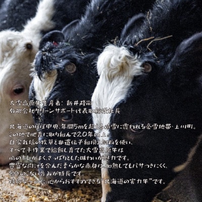 国産牛 大雪高原牛100%ハンバーグカレー250g 有名店ガクヤバーガー監修の男前仕立て 常温保存可