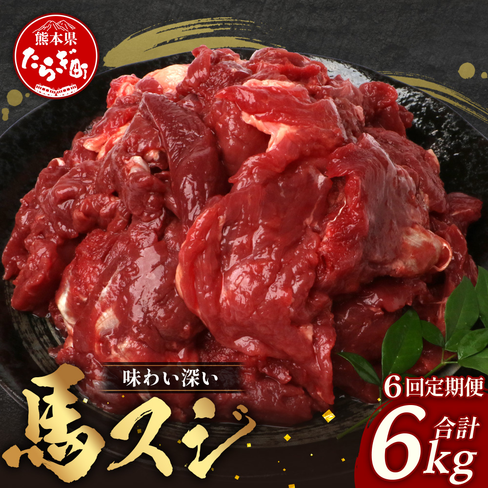 【 定期便 6回 】 熊本県 馬スジ 1kg（ 500g×2 ） × 6回 【 合計 6kg 】 【 馬肉 すじ肉 大容量 本場 熊本県 馬 赤身 煮込み カレー シチュー 冷凍 真空 熊本 肥育 ヘルシー 赤身 肉 高栄養 肉 】 041-0159