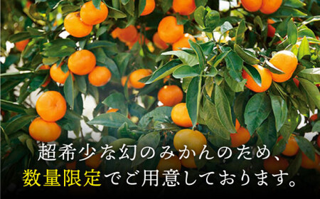 先行予約 幻の原口みかん 約3kg ＜原口果樹園＞[CCW004] みかん