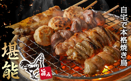 職人串打ちの本格焼き鳥36本!!_AA-3314_(都城市) 焼鳥串 生冷凍串 冷凍生肉 もも 皮 手羽 小肉 砂肝 ぼんじり ねぎま ハラミ せせり つくね 6本入り 6P 計1.2kg BBQ