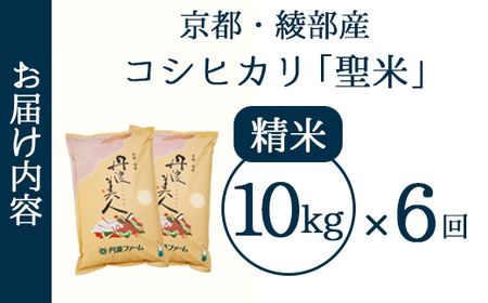 【定期便6回】丹波美人 白米 10kg（5kg×2）×6回 / 米 白米 定期便 綾部市 / 有限会社カメイ［BSDY052］