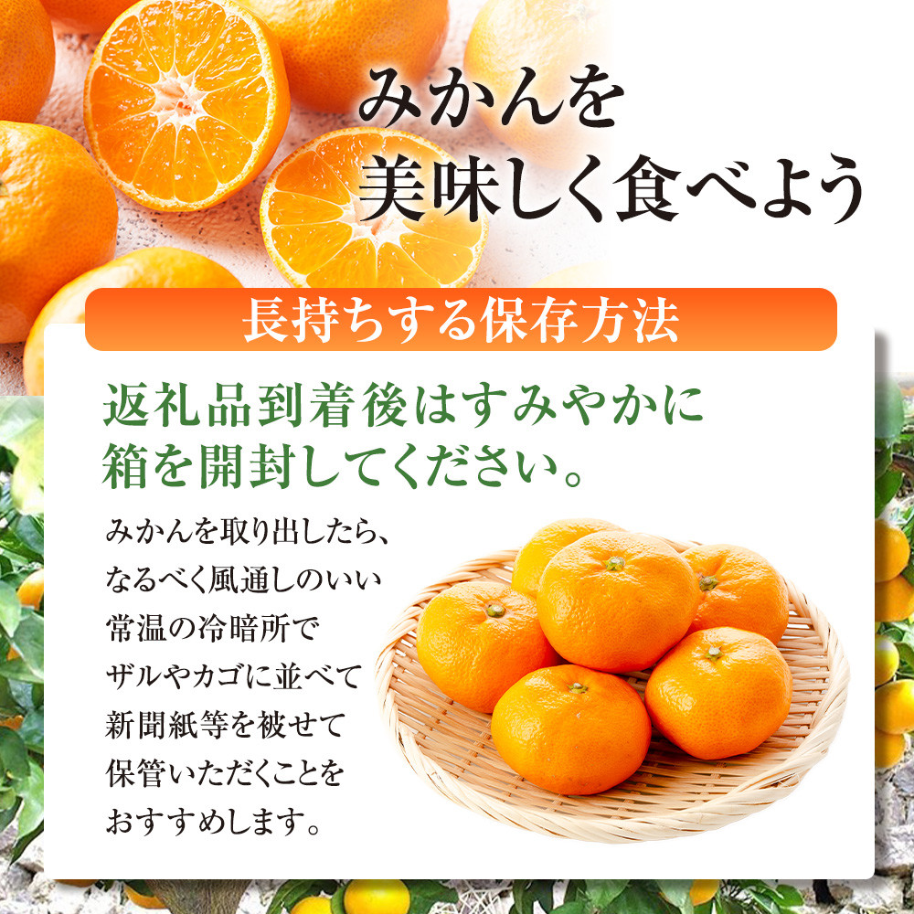 有田みかん専門店 有田の太陽®ファミリー 早生または晩生 有田みかん 4.5kg＋補償分100g 山採れ・サイズ・等級 混合 FH05_イメージ5