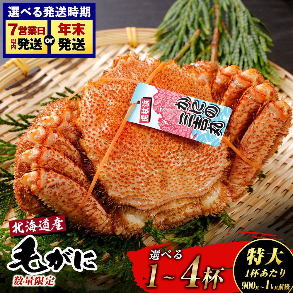 【ふるさと納税】【特大】 北海道産 冷凍ボイル 毛ガニ 選べる1尾〜4尾 (1尾900g-1kg前後) 蟹 かに カニ 毛ガニ AS119 選べる発送月毛がに 毛ガニ 毛蟹 蟹 カニ 北海道ふるさと納税 白老 ふるさと納税 北海道 おせち 年末