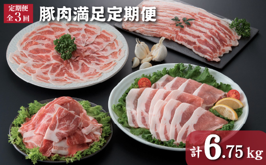 【DT004】【定期便・全3回】豚肉満足定期便（国産 豚肉 大容量 小分け 定期便）