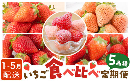 【先行予約 2027年1月〜発送】【5回定期便】いちご5品種食べ比べ いちご