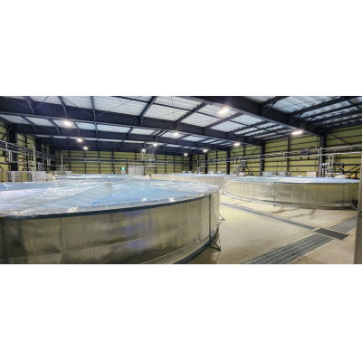 【ふるさと納税】平沼水産うなぎ養殖場プレミアム体験コース【1676146】