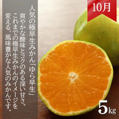 ふるさと納税 日高町 【発送月固定定期便】和歌山からの贈り物　農園直送　季節の柑橘定期便(贈答用)　各5kg全3回 |  | 01