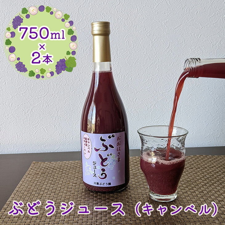 【ふるさと納税】ぶどうジュース （キャンベル） 750ml×2本 花巻市 岩手県