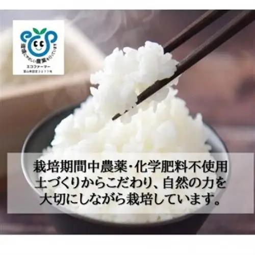 栽培期間中農薬・化学肥料不使用　こしひかり　白米 5kg×1袋(5kg)【1735134】