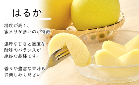 はるか りんご 5kg 18個 12月限定下久保農園 shitakubo005