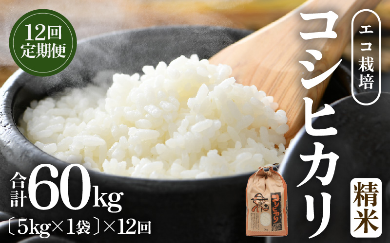 【先行予約】【令和8年産 新米】エコ栽培コシヒカリ  白米5kg×12回 計60kg ／ 鮮度抜群 福井県産 こしひかり ご飯 新鮮 白米 ※2026年10月上旬以降順次発送 [aw063-k009]
