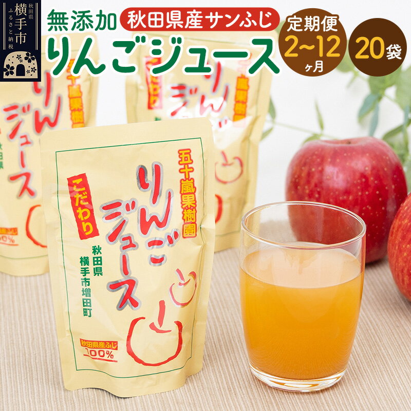 【ふるさと納税】《定期便2〜12ヶ月》無添加りんごジュース（サンふじ）20パック リンゴジュース