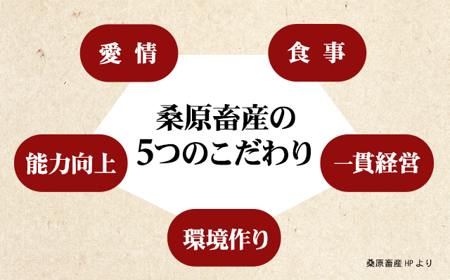 佐賀牛切り落とし500g (500g X 1p) 桑原畜産 黒毛和牛 ブランド牛 牛肉 送料無料  A5～A4 ブランド牛 しゃぶしゃぶ スライス すき焼き 焼肉 小分け 人気 ランキング  高評価 