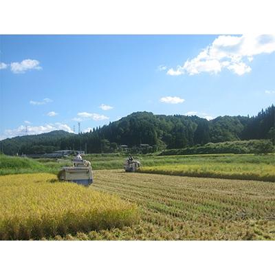 ふるさと納税 加茂市 【新潟県加茂市七谷産】コシヒカリ5kg(高柳産・生産者指定) |  | 03